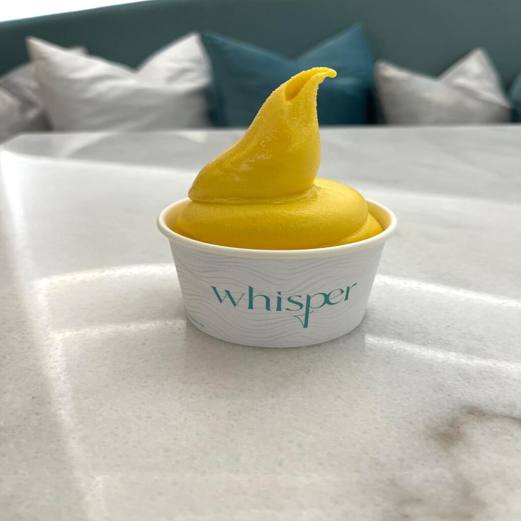 Frozen Yogurt Mango